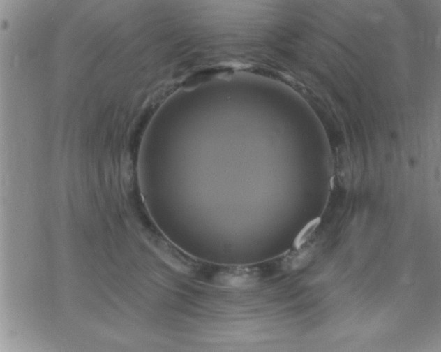 X0000075900563200609221939