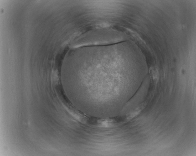 X0000075900564200609221939