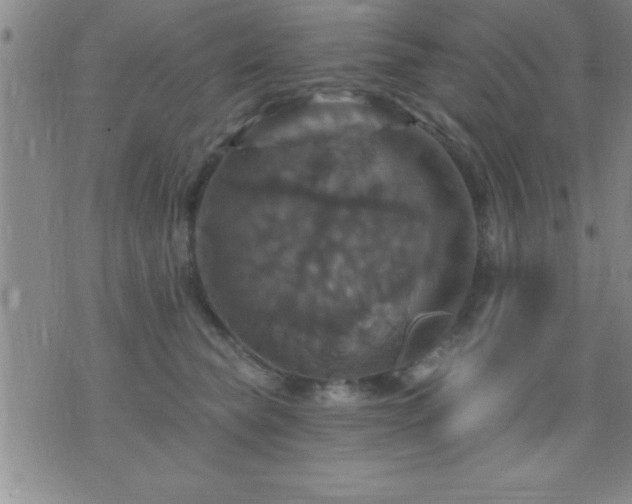 X0000075900565200609221939