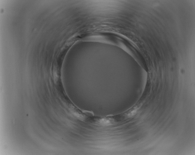 X0000075900566200609221939