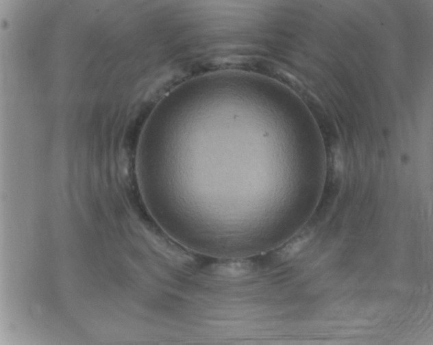 X0000075900567200609221939