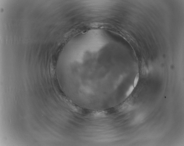 X0000075900569200609221939