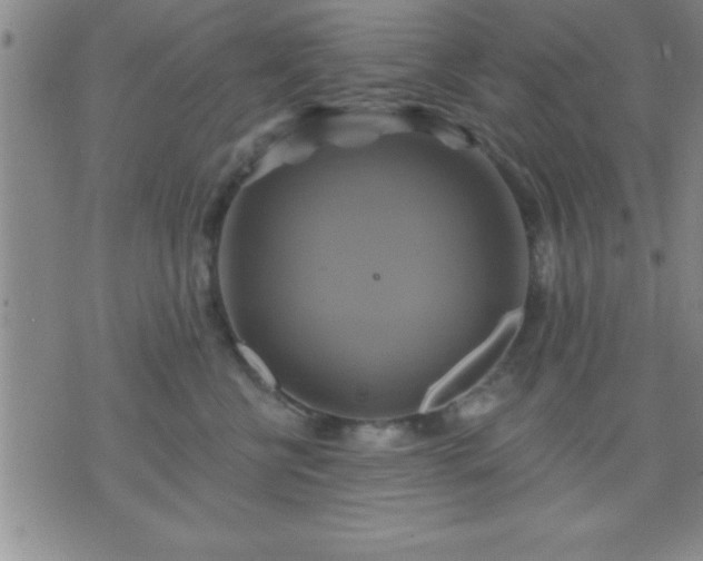 X0000075900570200609221939