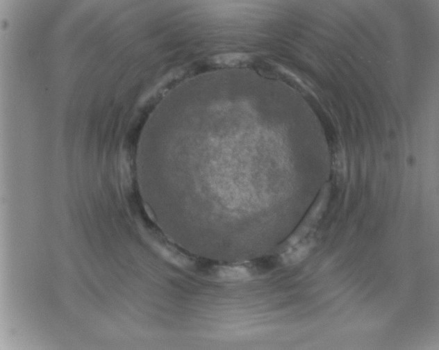 X0000075900572200609221940