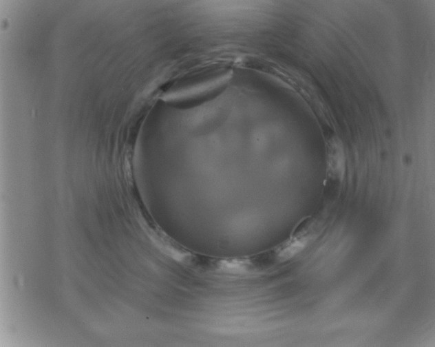 X0000075900573200609221940