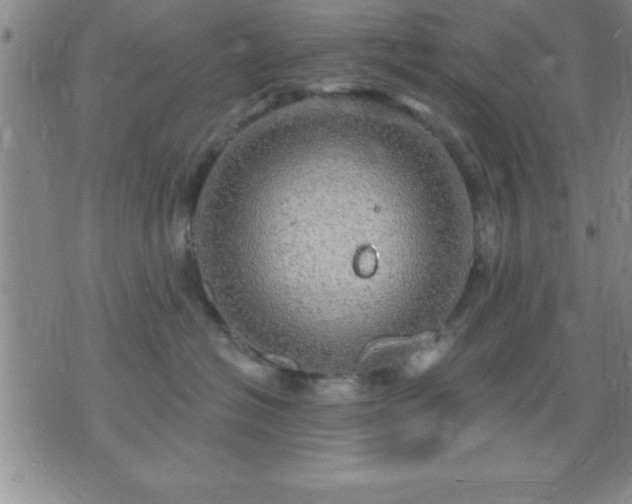 X0000075900574200609221940