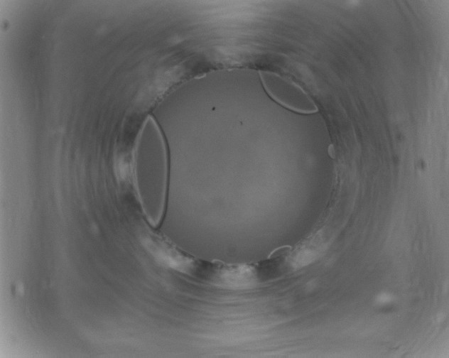 X0000075900576200609221940