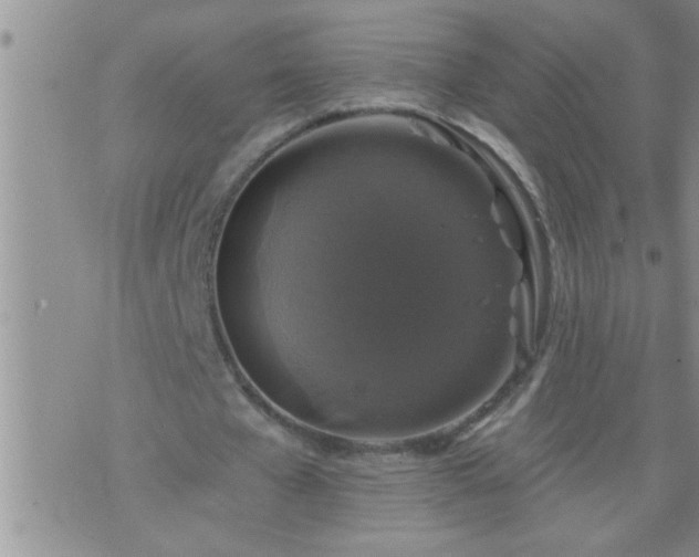 X0000075900577200609221939