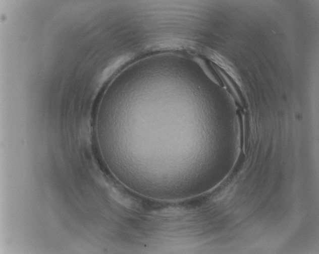 X0000075900578200609221939