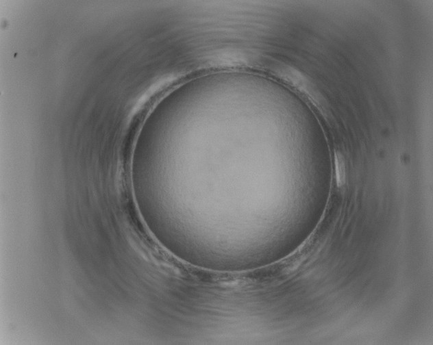 X0000075900579200609221939