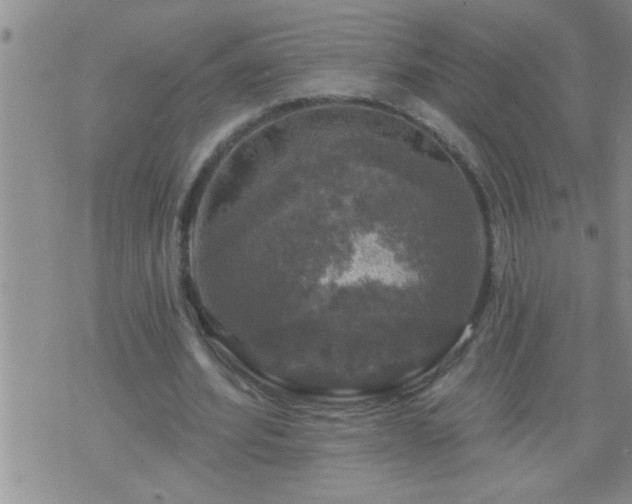 X0000075900580200609221939