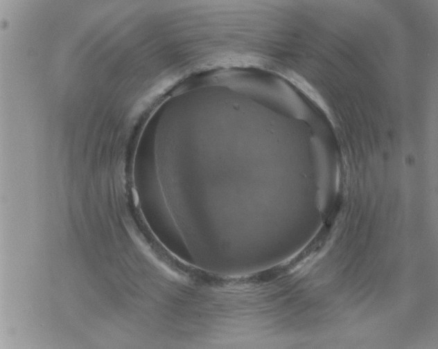 X0000075900581200609221939