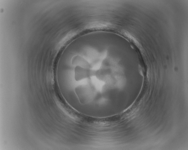 X0000075900582200609221939