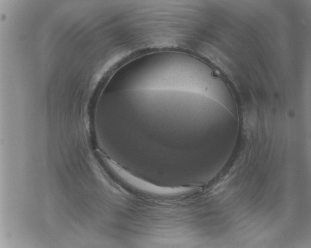 X0000075900584200609221939