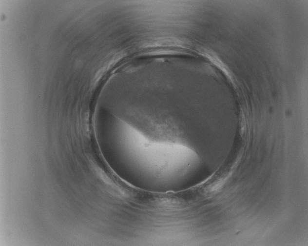 X0000075900585200609221939