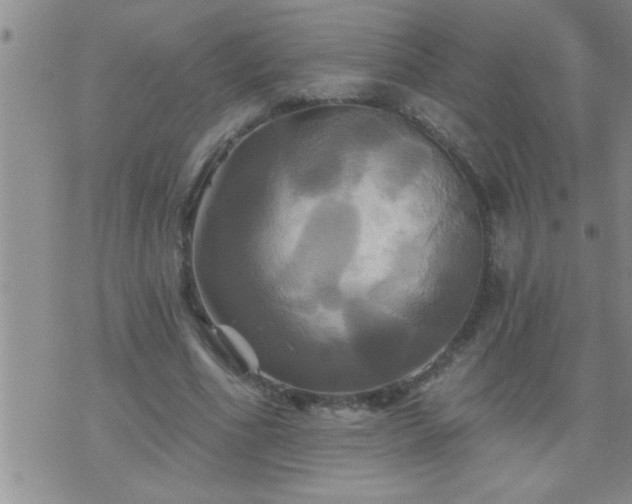 X0000075900586200609221939