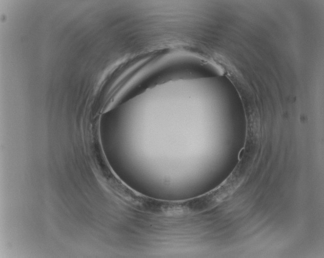 X0000075900587200609221939