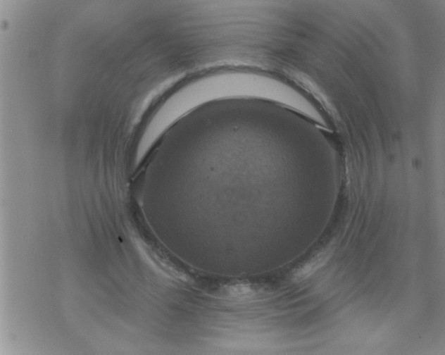 X0000075900588200609221939