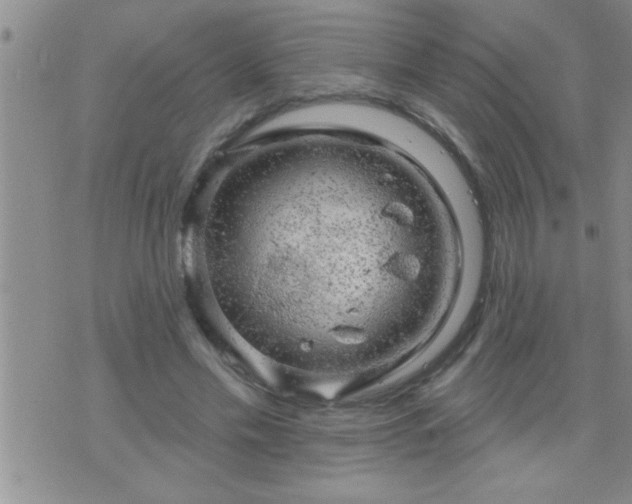 X0000075900589200609221939