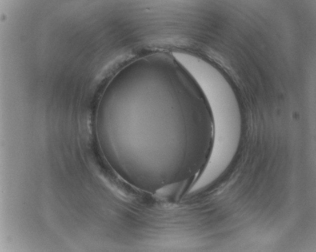 X0000075900590200609221939