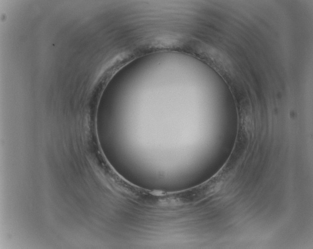 X0000075900591200609221939