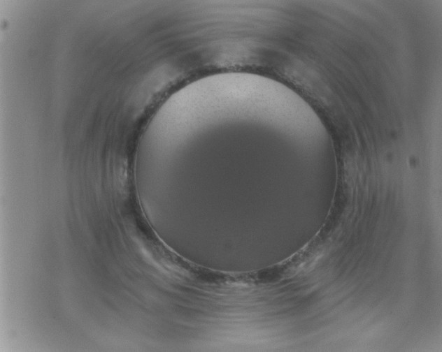 X0000075900592200609221939