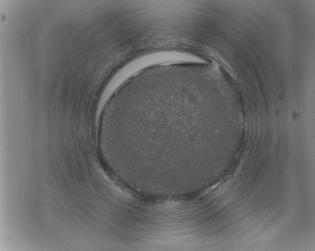 X0000075900593200609221939