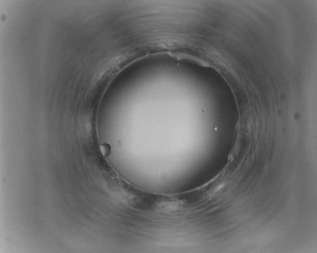 X0000075900595200609221939