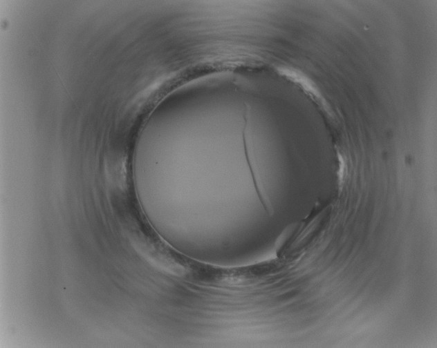 X0000075900596200609221939