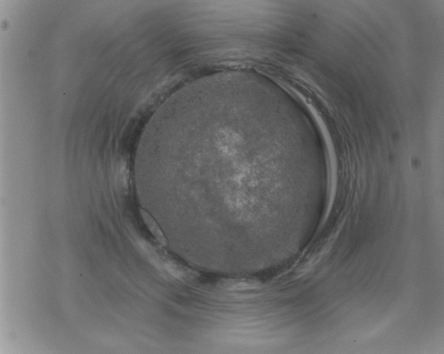 X0000075900597200609221938