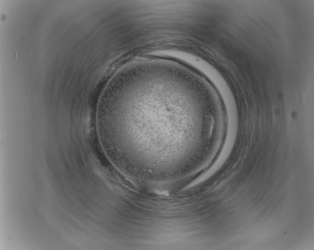 X0000075900600200609221938