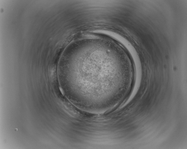 X0000075900601200609221938