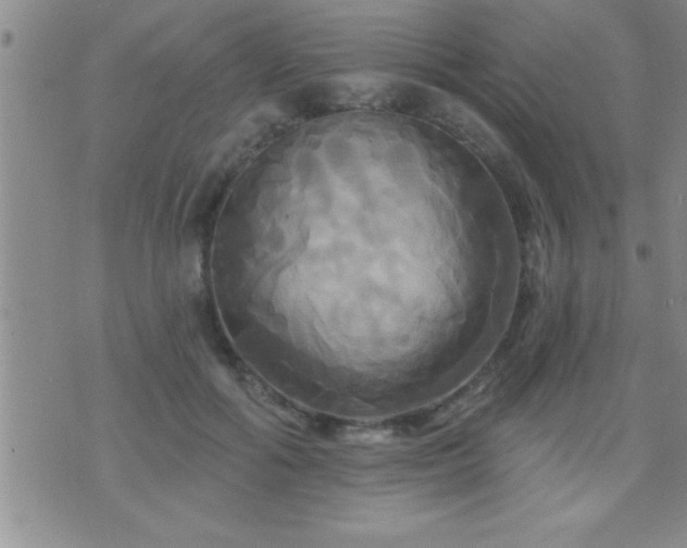 X0000075900602200609221938