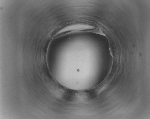 X0000075900603200609221938