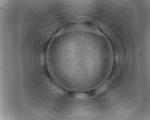 X0000075900605200609221938