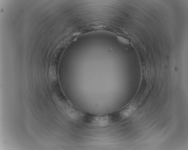 X0000075900606200609221938