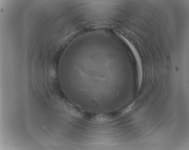 X0000075900608200609221938