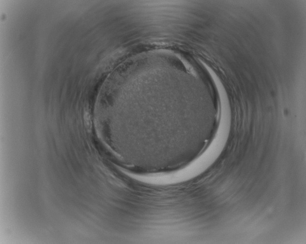 X0000075900609200609221938