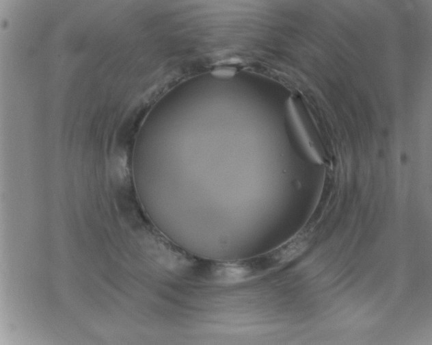 X0000075900610200609221938