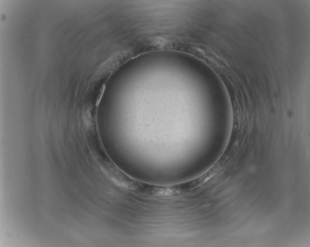 X0000075900611200609221938