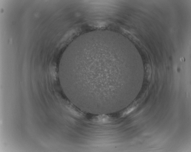 X0000075900612200609221938