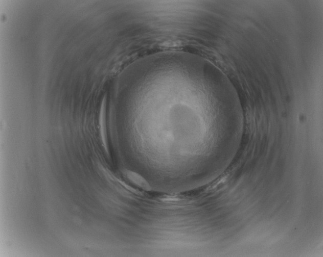 X0000075900614200609221938