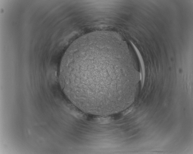 X0000075900615200609221938