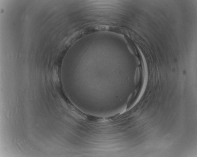 X0000075900616200609221938