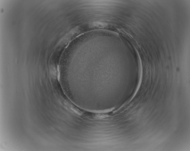 X0000075900617200609221938