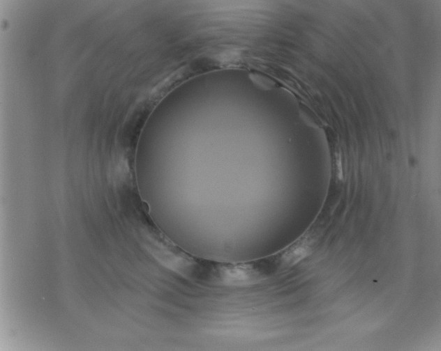 X0000075900618200609221938