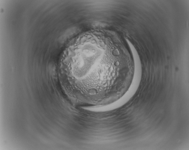 X0000075900619200609221938