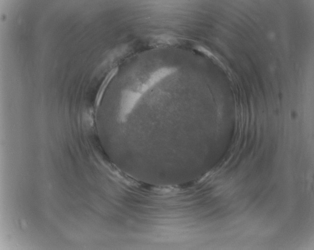 X0000075900621200609221938