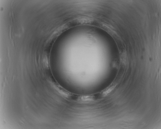 X0000075900622200609221938