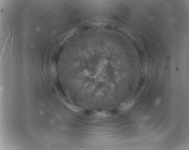 X0000075900623200609221938